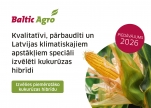 JAUNUMS: kukurūzas piedāvājums 2026