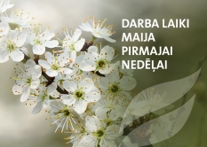 VISS LAUKSAIMNIEKIEM DARBA LAIKI SVĒTKU LAIKĀ