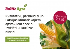 JAUNUMS: kukurūzas piedāvājums 2026