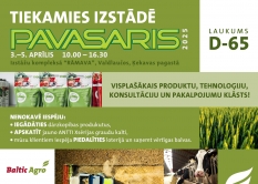 TIEKAMIES RĀMAVAS IZSTĀDĒ “PAVASARIS 2025”