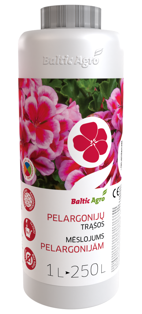 Mēslojums pelargonijām