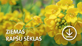 Baltic Agro ziemas rapša piedāvājums 2024